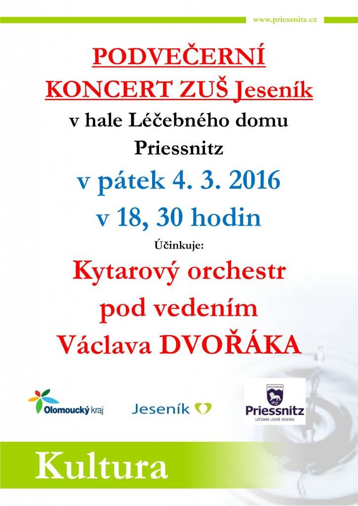 Koncert Kytarového orchestru