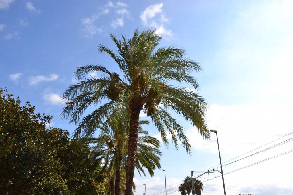 DOM a Crazy girls ve Španělsku 2013 díl I.